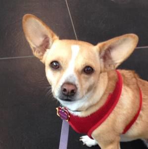 Meet your Posher, Rose marie